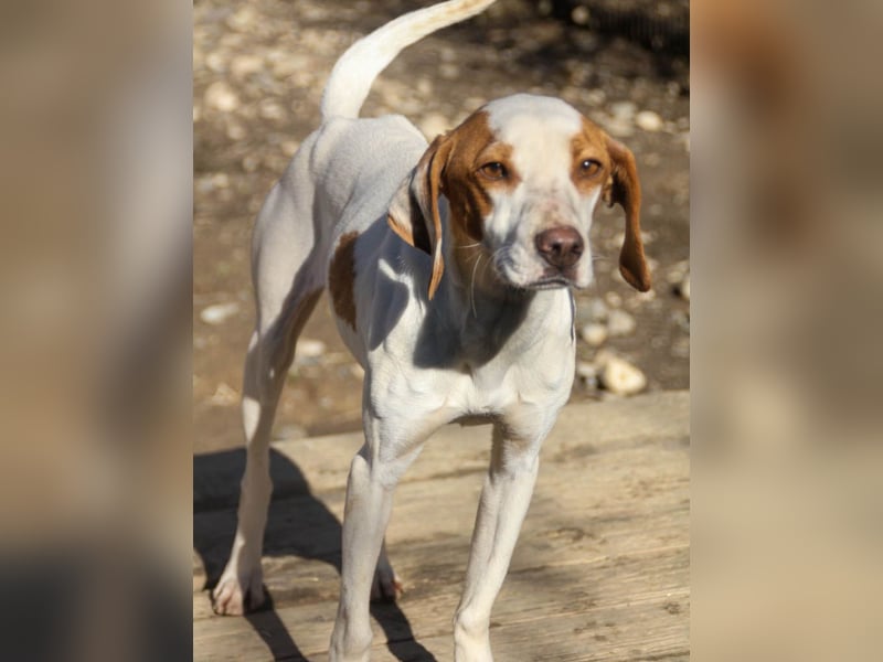 TAKITA lebensfroh, freundlich, für jeden Spaß zu haben