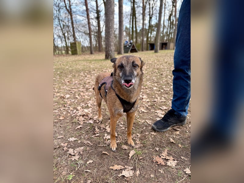 NISHA bezaubernd, liebesbedürftig, wundervoll such nach DIR