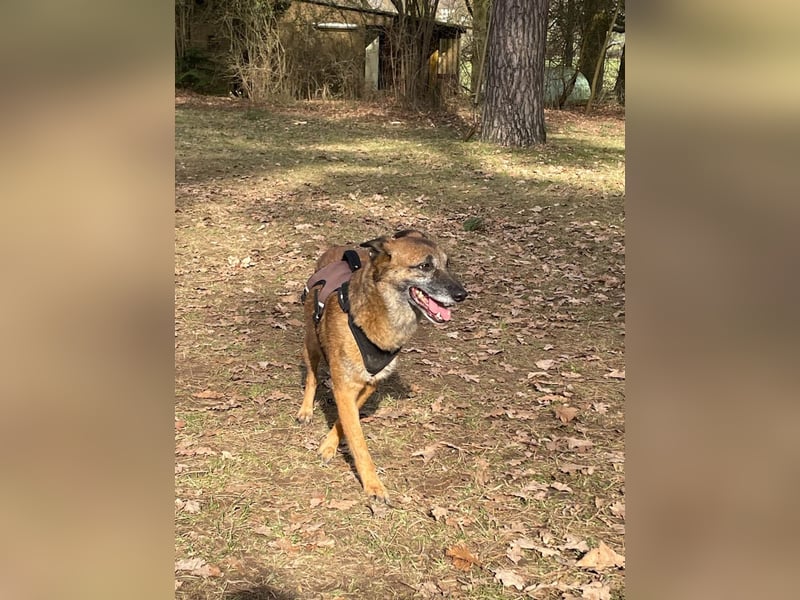 NISHA bezaubernd, liebesbedürftig, wundervoll such nach DIR