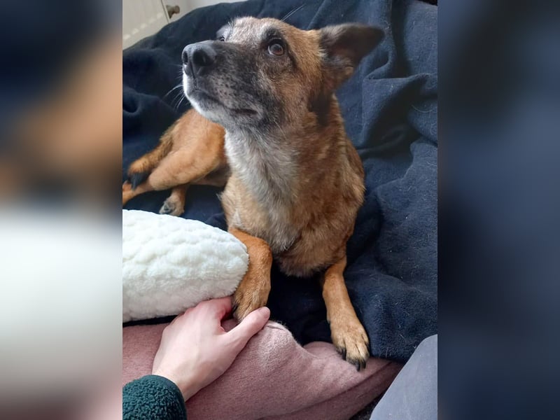 NISHA bezaubernd, liebesbedürftig, wundervoll such nach DIR