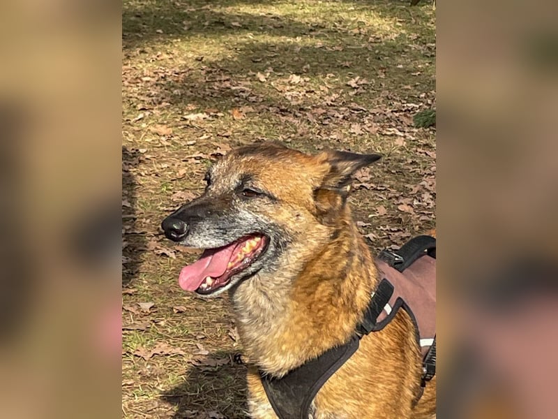 bezaubernde NISHA wartet bereits in Erlangen auf DICH