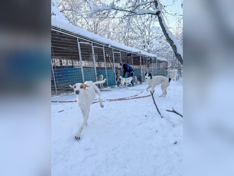 TAKITA lebensfroh, freundlich, für jeden Spaß zu haben