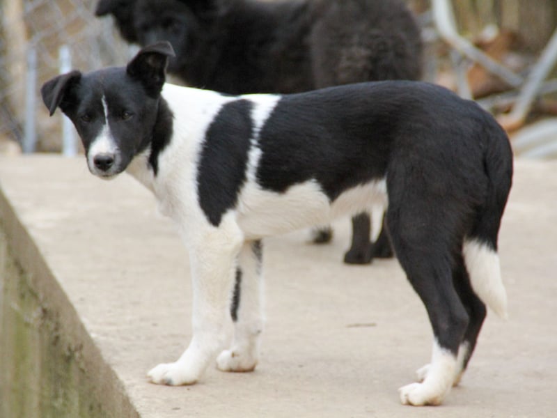 Charmante CHANTAL ist noch etwas zurückhaltend
