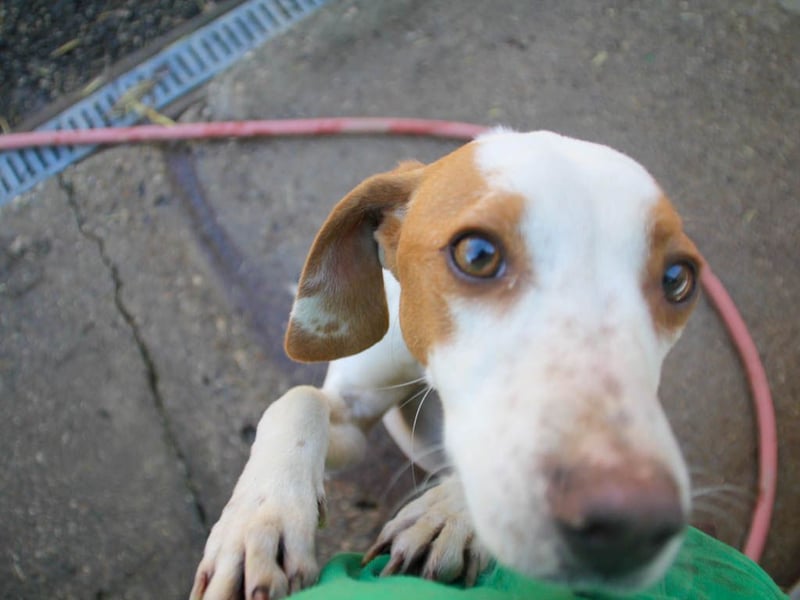 TAKITA lebensfroh, freundlich, für jeden Spaß zu haben