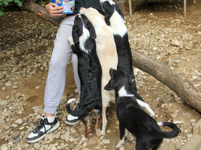 FLAVIA - wer bringt ihre Augen zum strahlen?