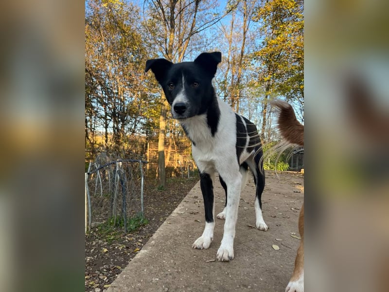 Charmante CHANTAL ist noch etwas zurückhaltend