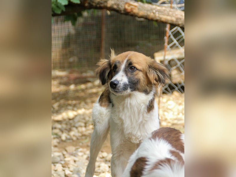 WILHELM, lebensfroher Weltentdecker WILHELM, lebensfroher Weltentdecker