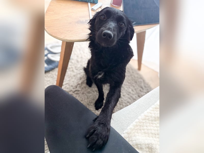 Lebensfrohe DAYA wartet in Erlangen auf DICH