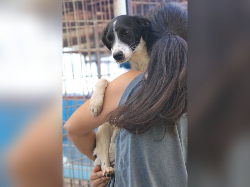 Fröhlicher Traumprinz ILIAS möchte dich verzaubern