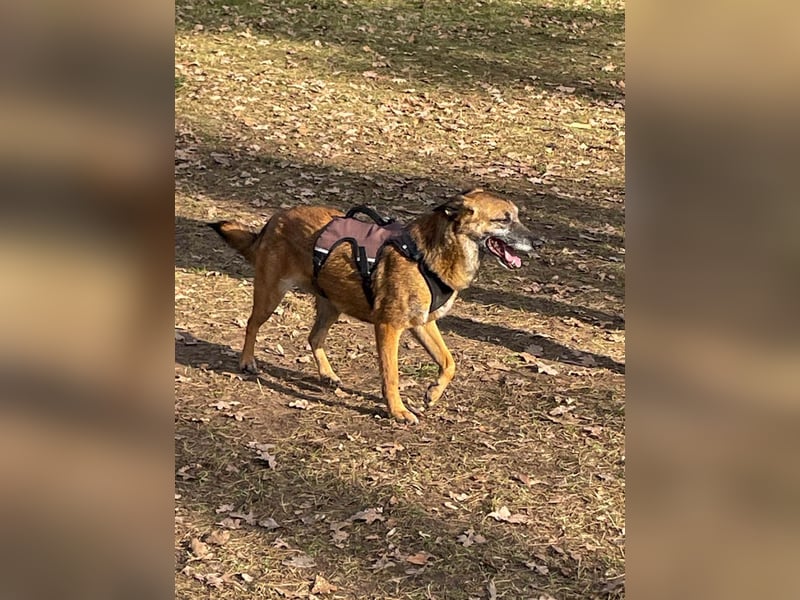 bezaubernde NISHA wartet bereits in Erlangen auf DICH