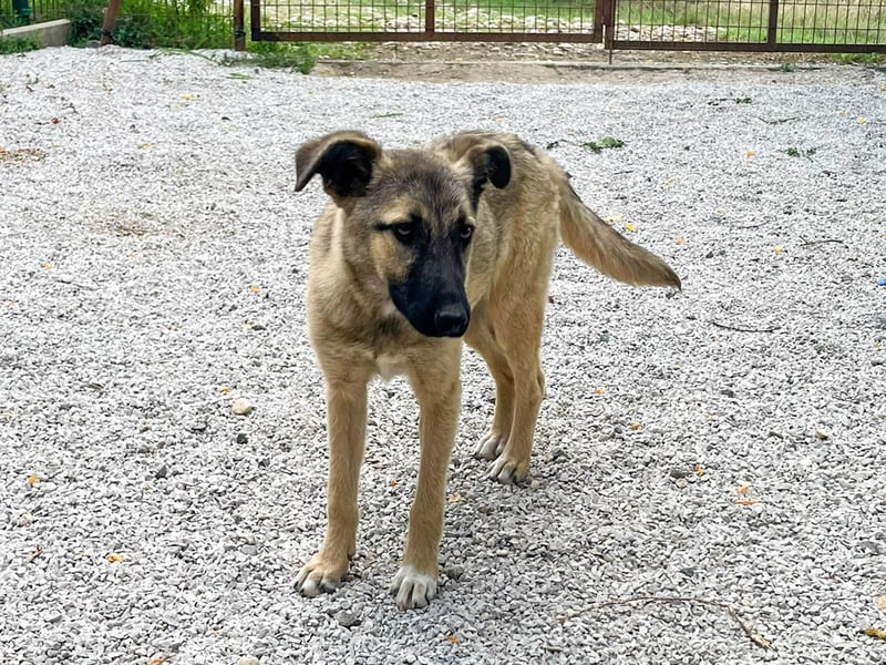Zuckersüße JOSEPHINE bezaubert durch ihre fröhliche Art