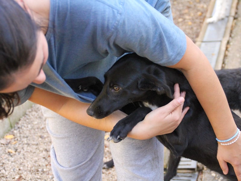 Bäuchleinkrauler gesucht für zuckersüße IRMA gesucht !