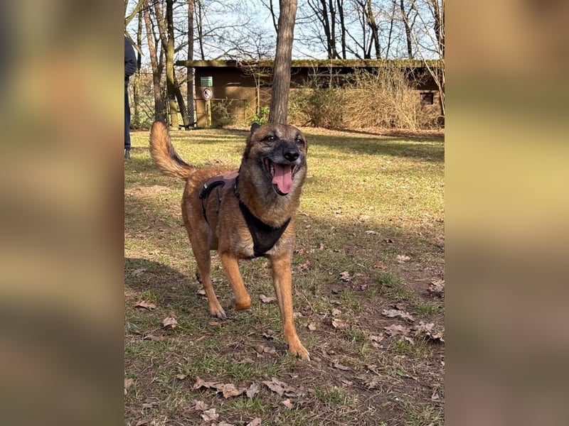 NISHA bezaubernd, liebesbedürftig, wundervoll such nach DIR