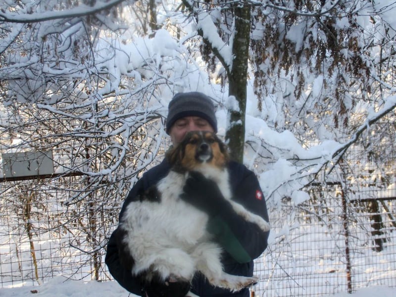 Zuckersüße JULIANA ist ein Engel auf vier Pfoten
