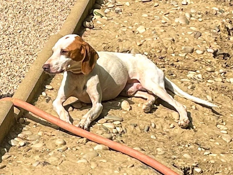 Traumbub FICO verzaubert mit seiner lieben Art