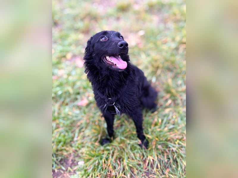 Lebensfrohe DAYA wartet in Erlangen auf DICH