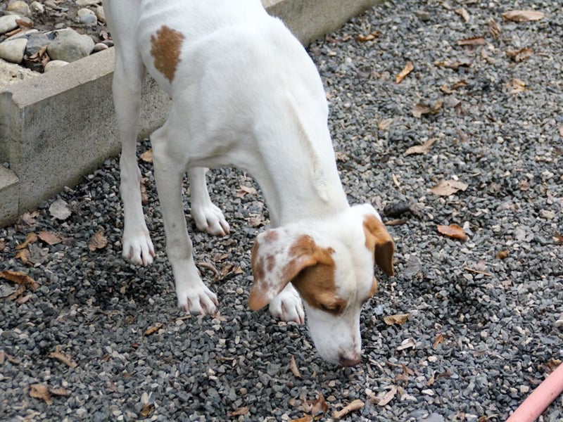 TAKITA lebensfroh, freundlich, für jeden Spaß zu haben