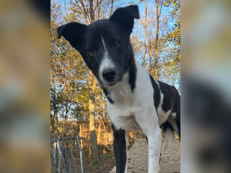 Charmante CHANTAL ist noch etwas zurückhaltend