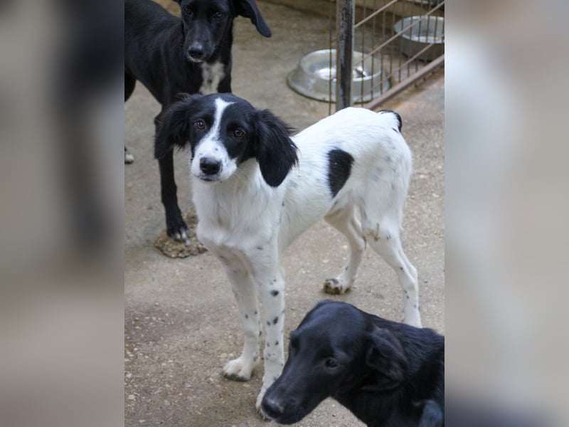 Zuckersüße IRENA bezaubert durch ihre fröhliche Art