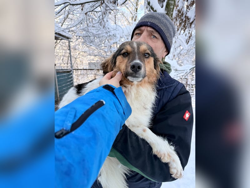 Herzensmensch gesucht - liebe JUILIANA hofft auf ihr Glück