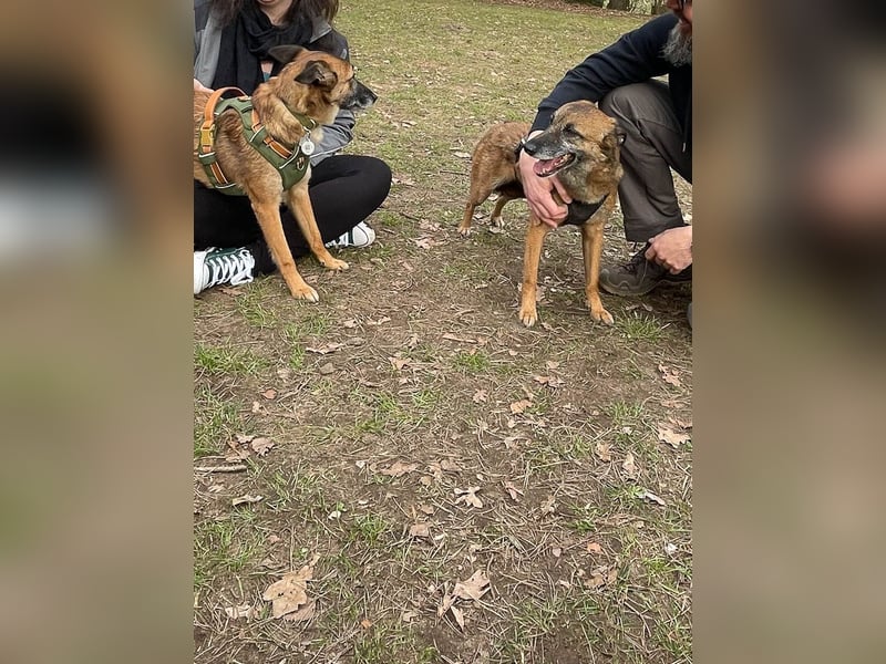 bezaubernde NISHA wartet bereits in Erlangen auf DICH