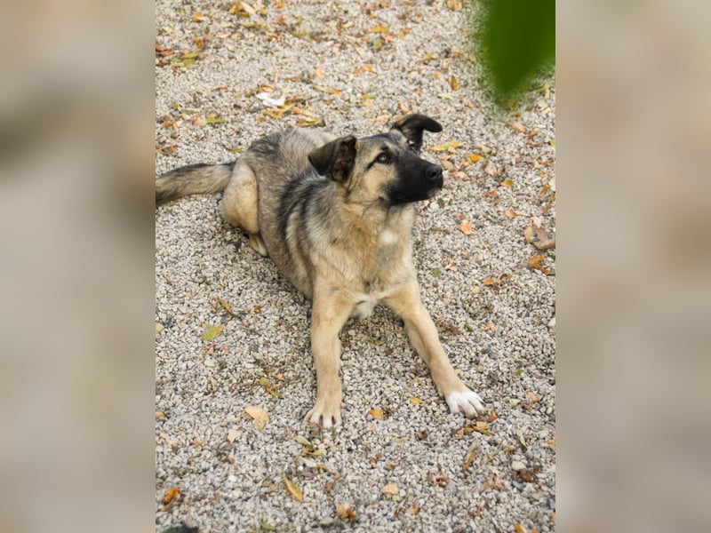 Lebensfrohe JOSEPHINE bezaubert durch ihre fröhliche und liebe Art