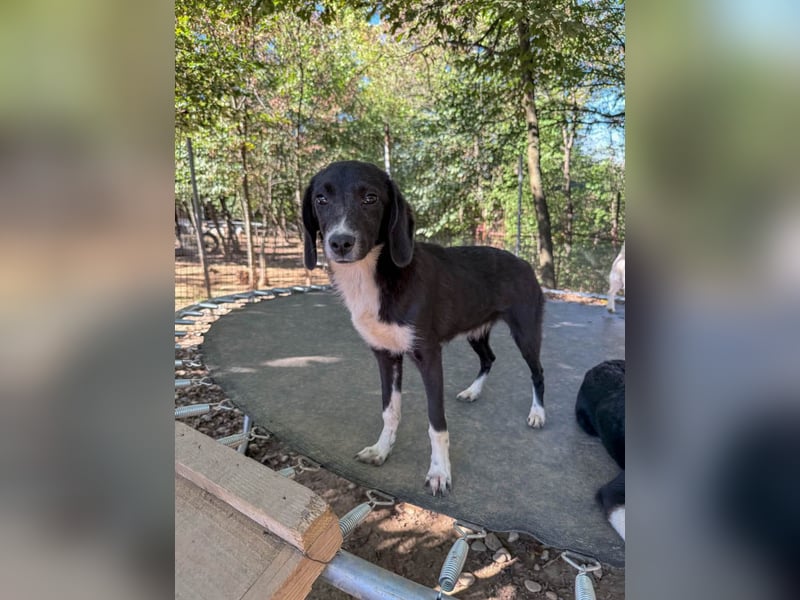 FLAVIA - wer bringt ihre Augen zum strahlen?