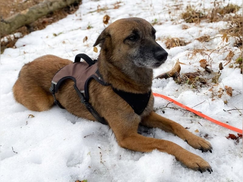 NISHA bezaubernd, liebesbedürftig, wundervoll such nach DIR