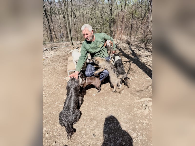 Hoppla - liebenswerter FICO möchte on tour gehen