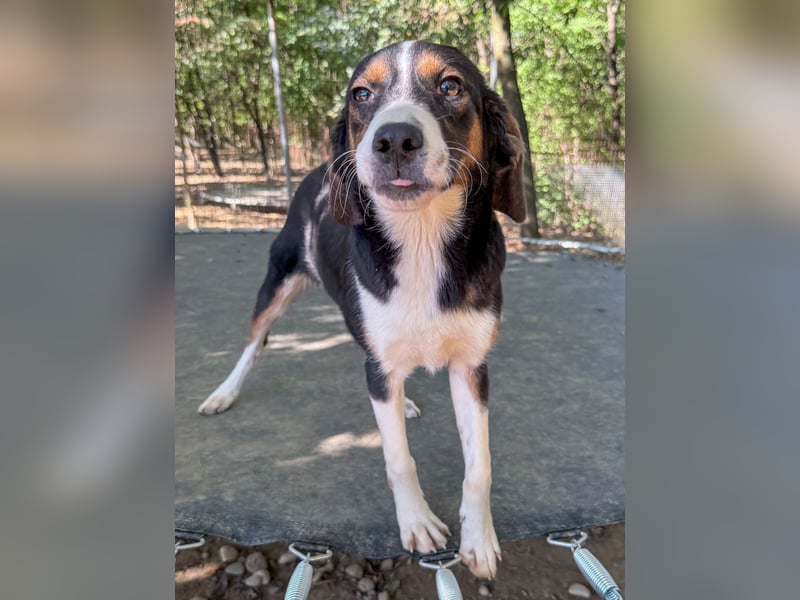 Zauberhafte LOARA will die Welt entdecken