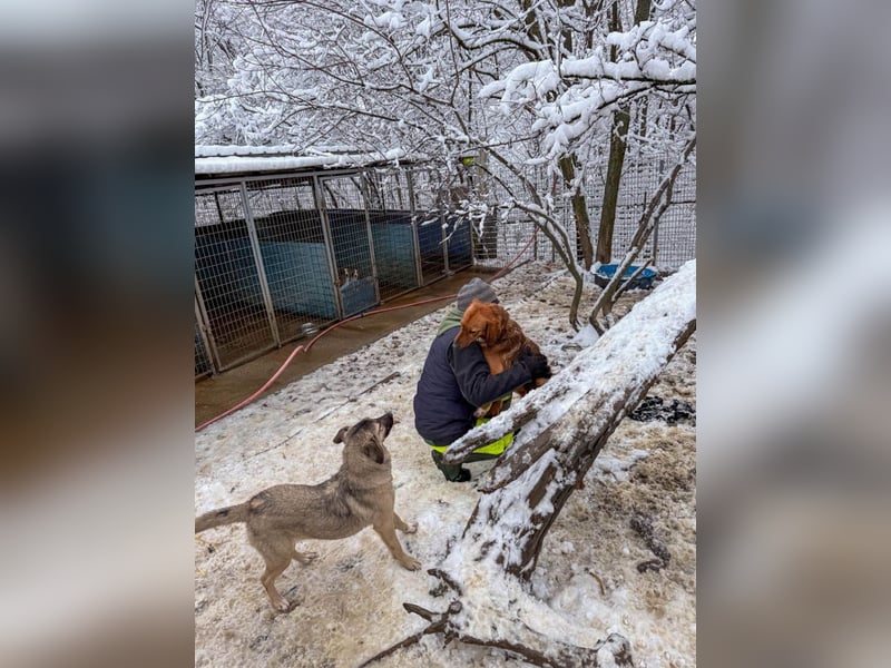 Lebensfrohe JOSEPHINE bezaubert durch ihre fröhliche und liebe Art