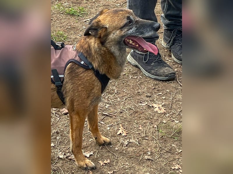 bezaubernde NISHA wartet bereits in Erlangen auf DICH