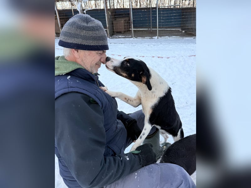 Lebensfroher AURELIO bezaubert durch seine fröhliche und liebe Art