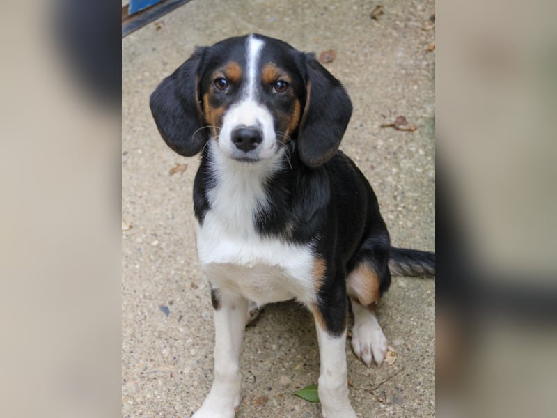 Zauberhafte LOARA will die Welt entdecken