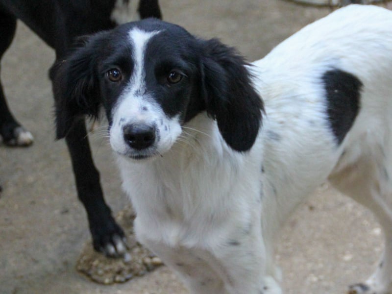 Zuckersüße IRENA bezaubert durch ihre fröhliche Art