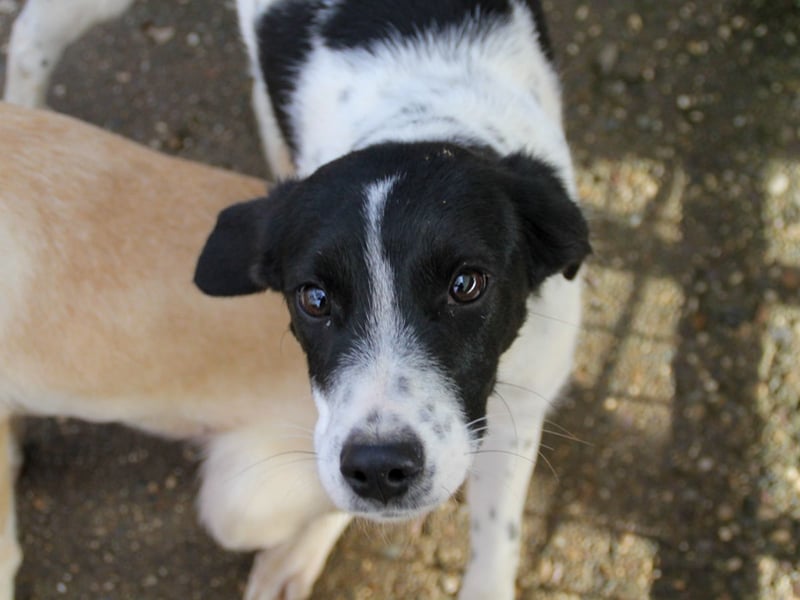 Fröhlicher Traumprinz ILIAS möchte dich verzaubern