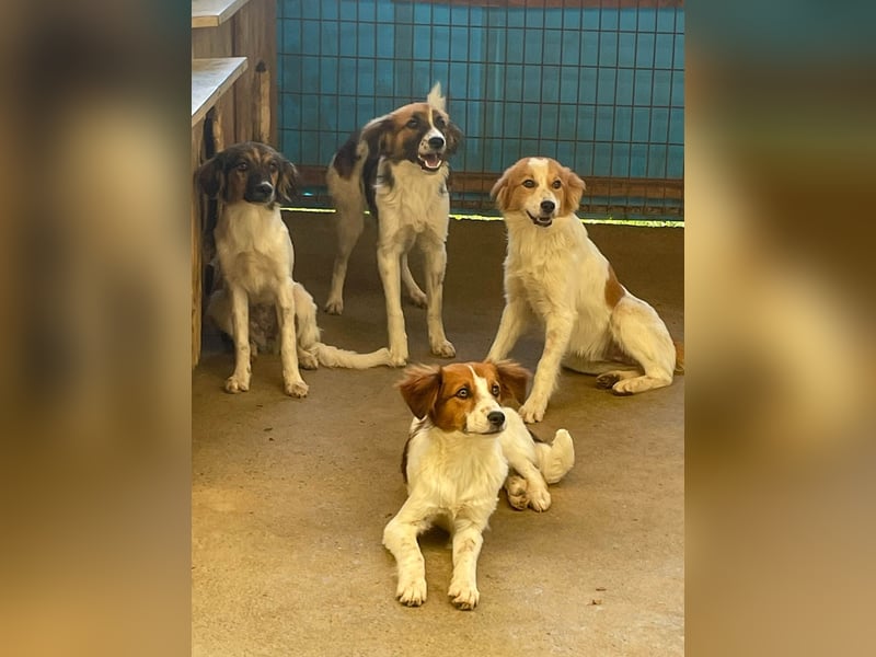 WILHELM, lebensfroher Weltentdecker WILHELM, lebensfroher Weltentdecker