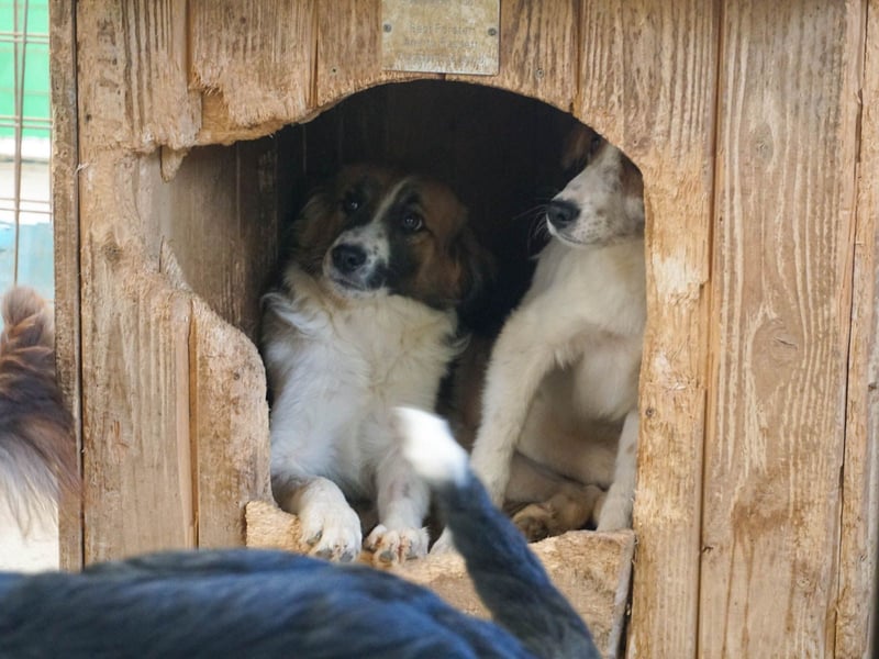 WILHELM, lebensfroher Weltentdecker WILHELM, lebensfroher Weltentdecker