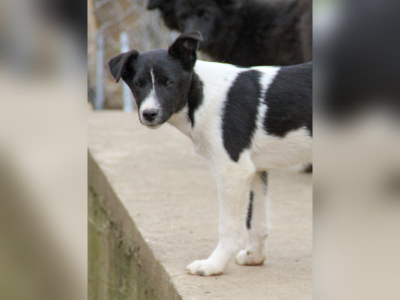 Charmante CHANTAL ist noch etwas zurückhaltend