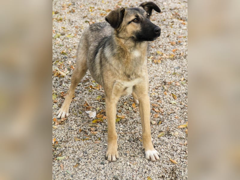 Lebensfrohe JOSEPHINE bezaubert durch ihre fröhliche und liebe Art