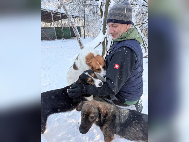 Halli-Hallo, ich FRIEDRICH, suche ein liebevolles Zuhause