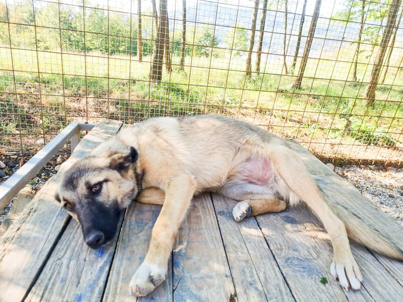 Zuckersüße JOSEPHINE bezaubert durch ihre fröhliche Art