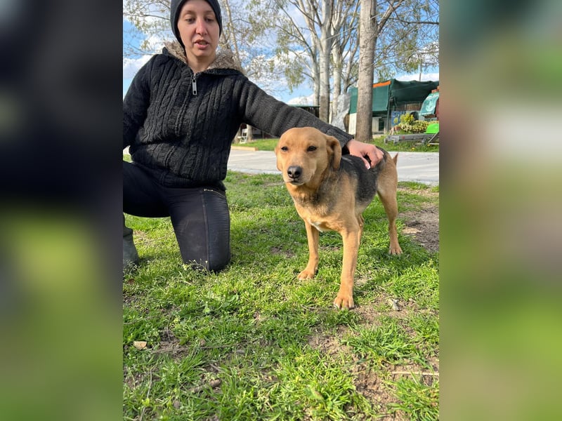 SRECKO – sanfter Schatz auf der Suche nach seinem Glück