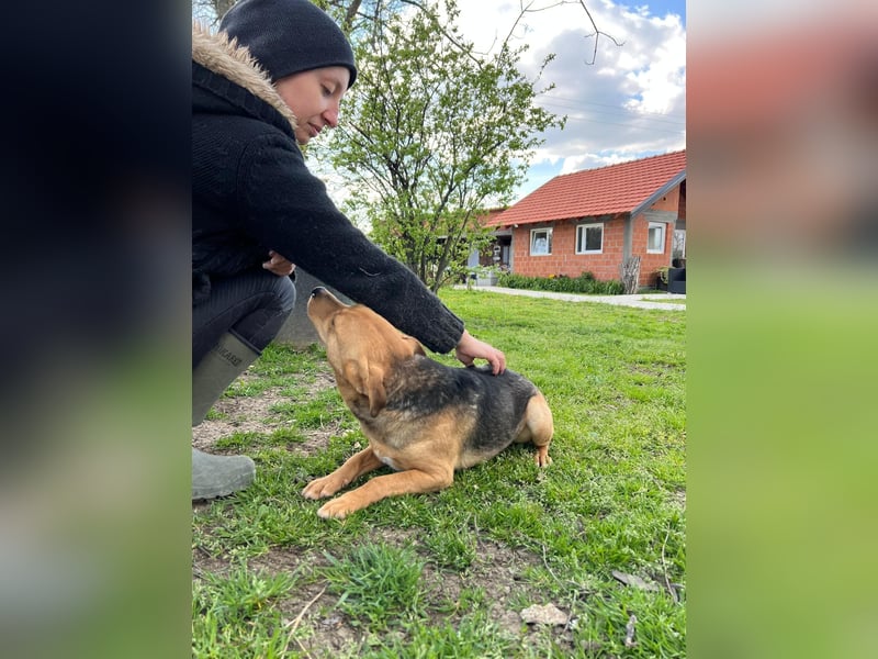 SRECKO – sanfter Schatz auf der Suche nach seinem Glück