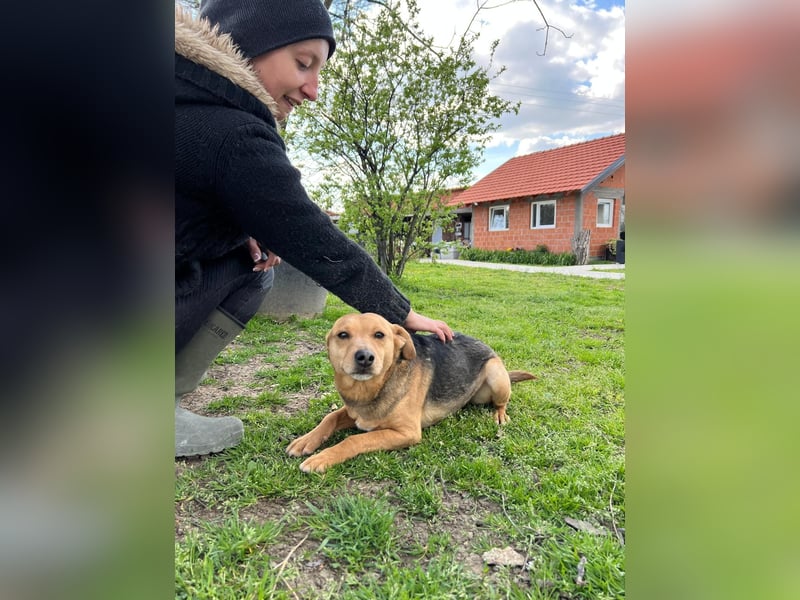 SRECKO – sanfter Schatz auf der Suche nach seinem Glück