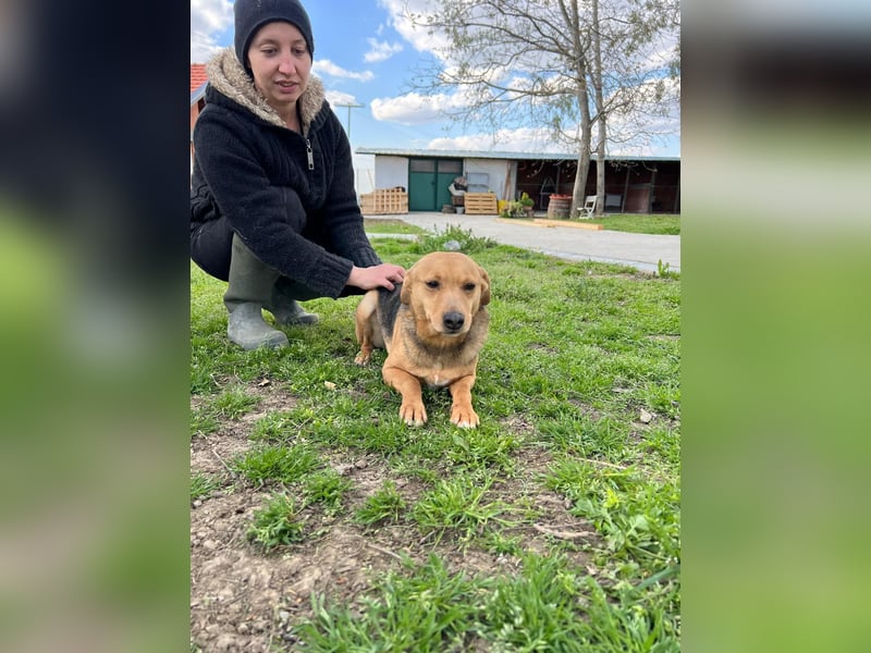 SRECKO – sanfter Schatz auf der Suche nach seinem Glück