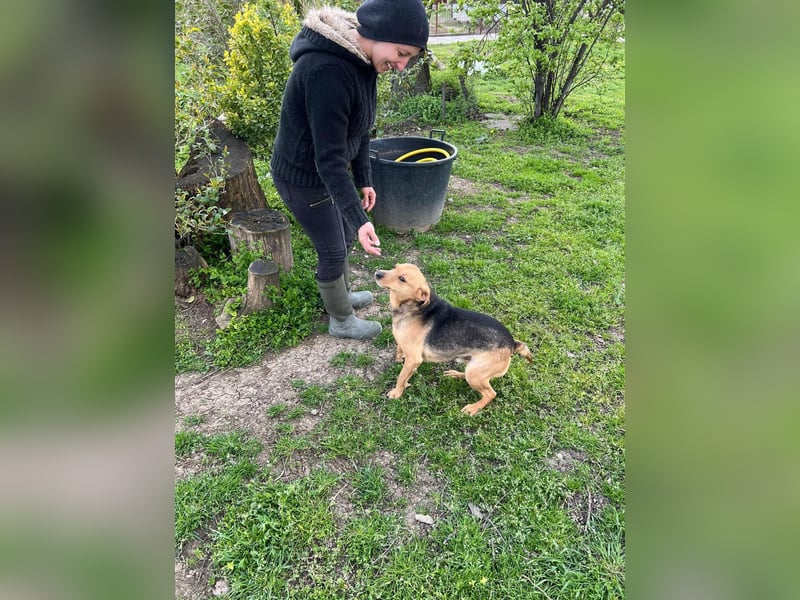 SRECKO – sanfter Schatz auf der Suche nach seinem Glück