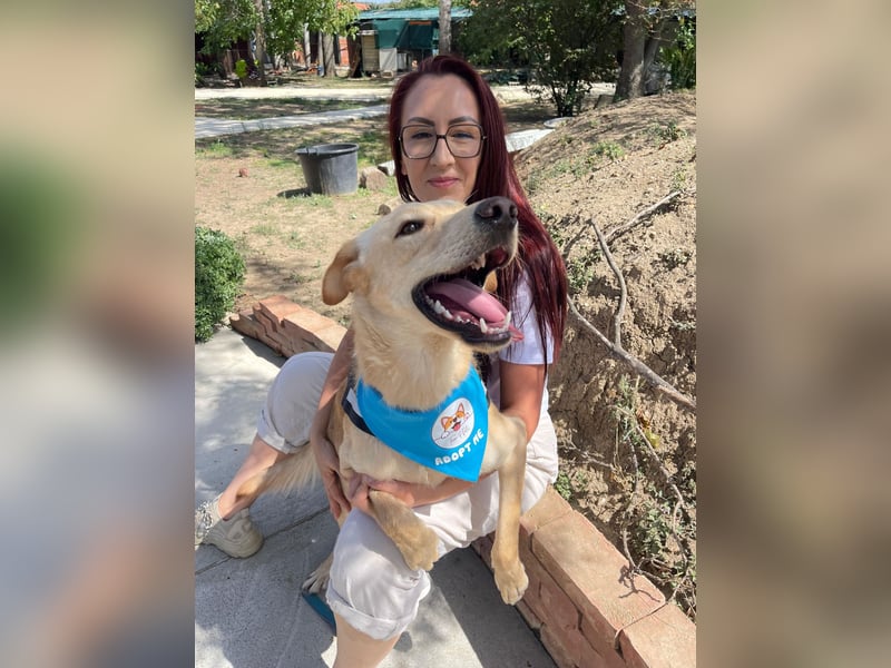 Findus - unser liebenswerter Riese