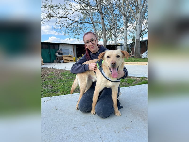 Findus - unser liebenswerter Riese