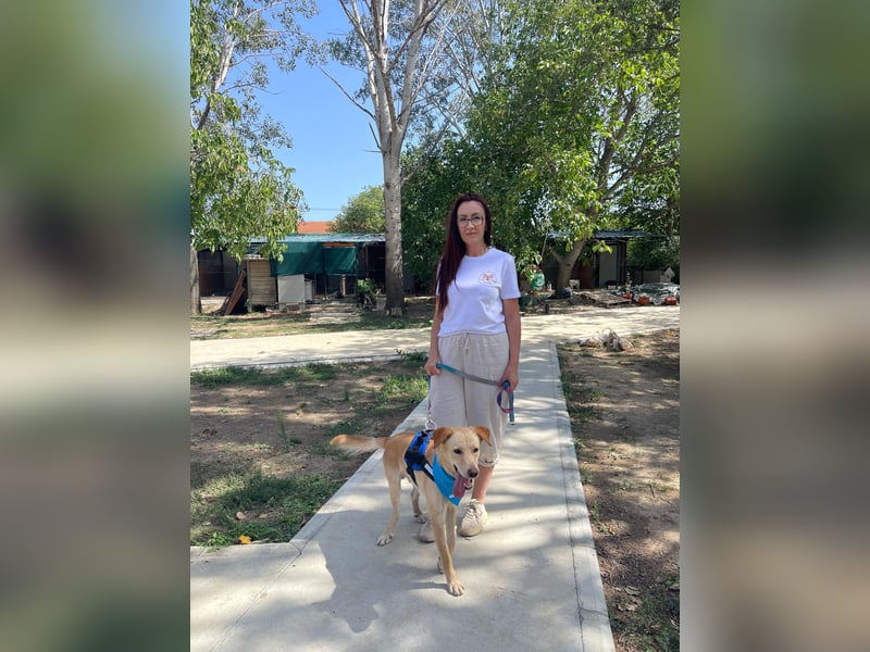 Findus - unser liebenswerter Riese